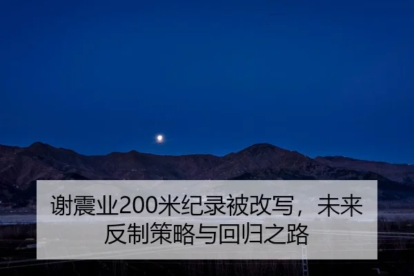 xie-zhen-ye-mi-ji-lu-bei-gai-xie-wei-lai-fan-zhi-ce-lve-yu-hui-gui-zhi-lu-2-432.jpg