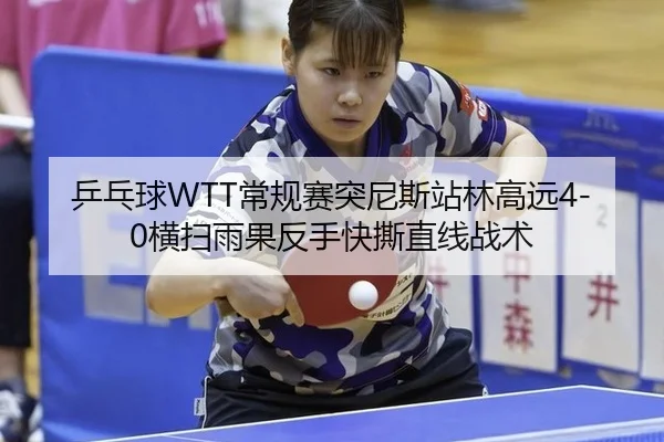 乒乓球WTT常规赛突尼斯站林高远4-0横扫雨果反手快撕直线战术